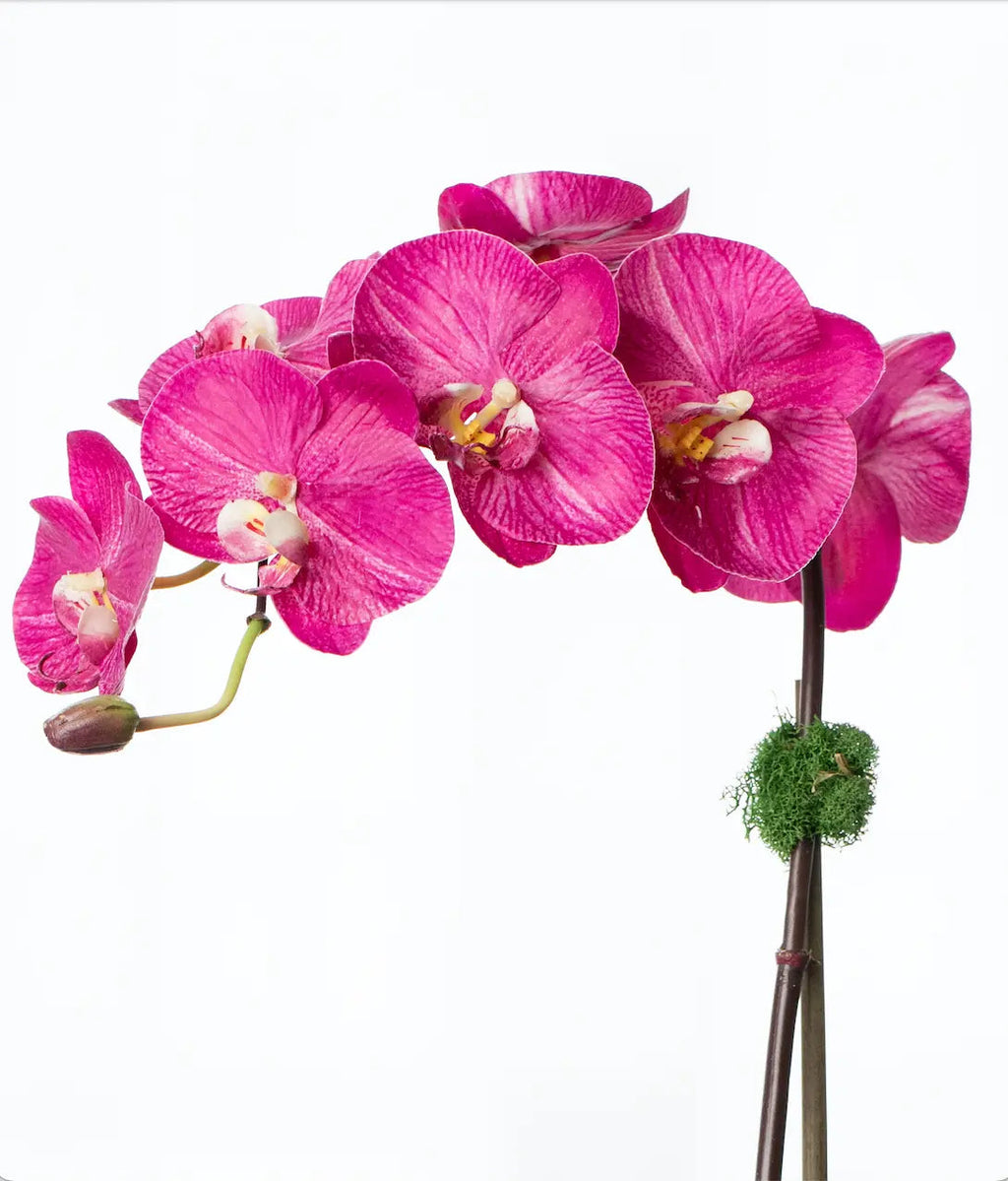 Silk orchid plant - pink phalaenopsis orchid in white pot - 21"