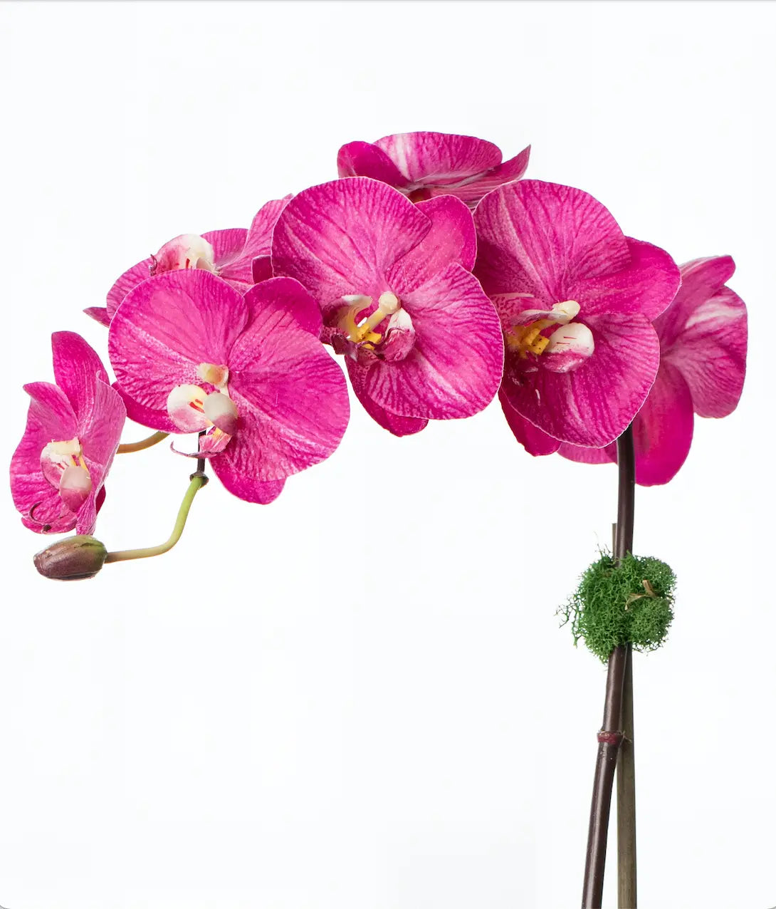 Silk orchid plant - pink phalaenopsis orchid in white pot - 21"