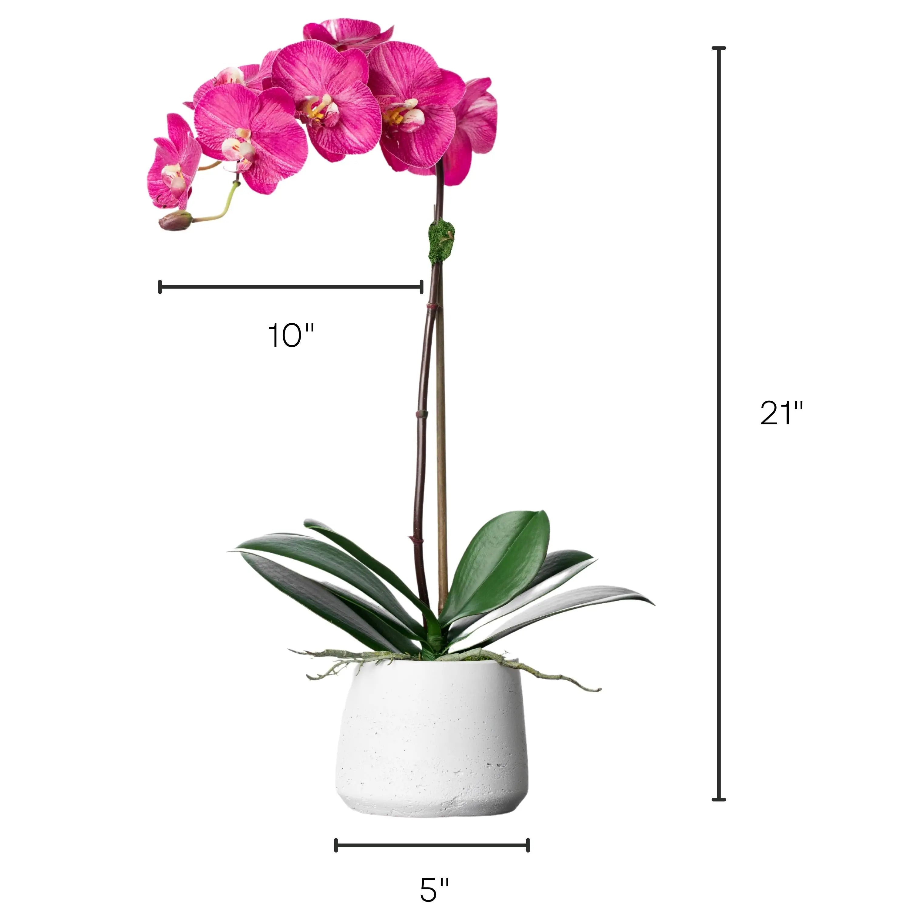 Silk orchid plant - pink phalaenopsis orchid in white pot - 21"