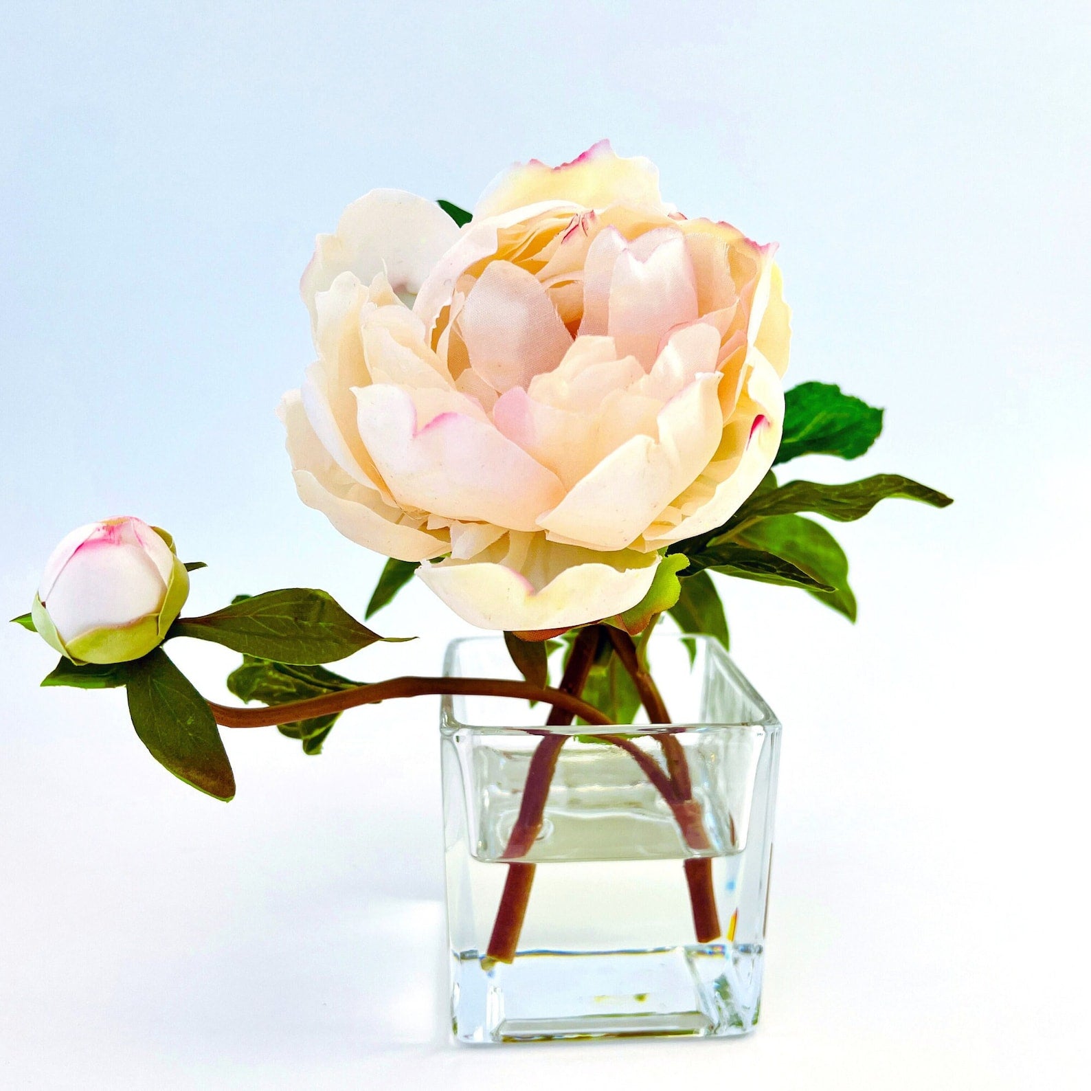 Peony Flower Arrangement in Glass Vase - 10"