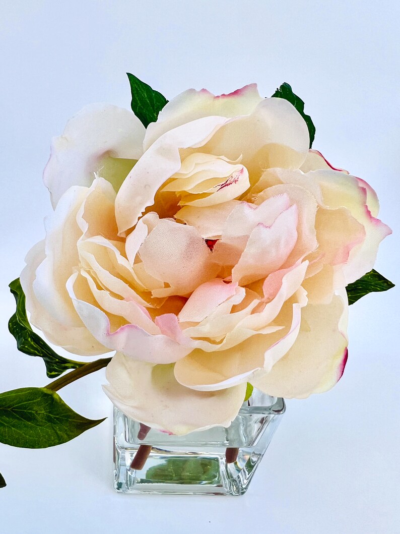 Peony Flower Arrangement in Glass Vase - 10"